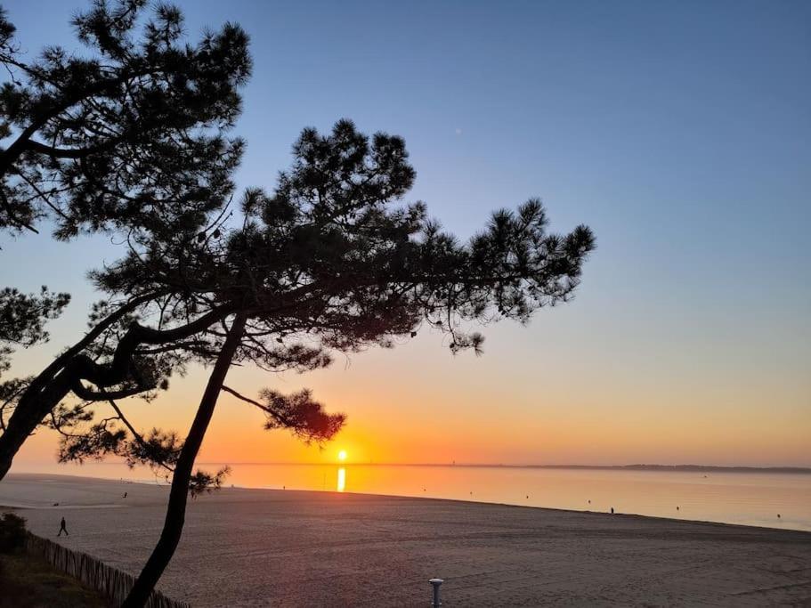 Maison Centre-Ville De La Teste Au Calme Kültér fotó